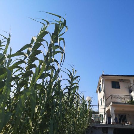 Saleto Apartma Jagodje Εξωτερικό φωτογραφία