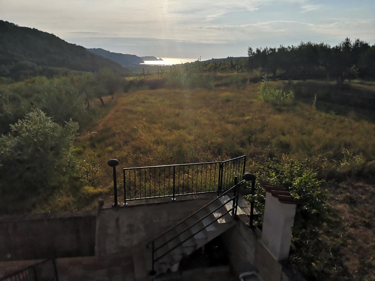 Saleto Apartma Jagodje Εξωτερικό φωτογραφία